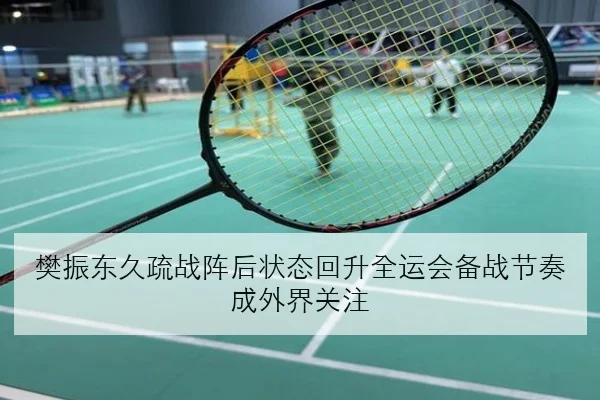樊振东久疏战阵后状态回升全运会备战节奏成外界关注